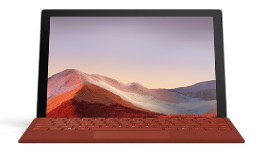 镶黄清洁和维护 Surface